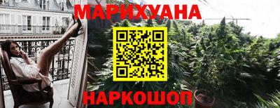 индика Ирбит