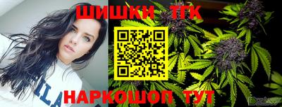 индика Ирбит