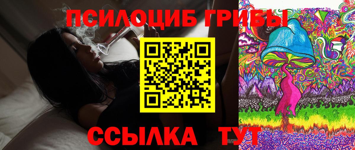Псилоцибиновые грибы Magic Shrooms  Вход с VPN  Кизилюрт  Псилоцибиновые грибы MAGIC MUSHROOMS 